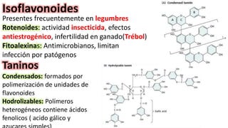 Isoflavonoides
Presentes frecuentemente en legumbres
Rotenoides: actividad insecticida, efectos
antiestrogénico, infertilidad en ganado(Trébol)
Fitoalexinas: Antimicrobianos, limitan
infección por patógenos
Taninos
Condensados: formados por
polimerización de unidades de
flavonoides
Hodrolizables: Polímeros
heterogéneos contiene ácidos
fenolicos ( acido gálico y
 