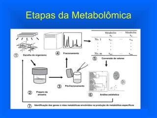 Etapas da Metabolômica Figura 2:  Esquema típico de análises metabolômicas utilizando plantas. 1- escolha do organismo a ser estudado; 2- preparo da amostra; 3- pré-fracionamento; 4- fracionamento; 5- conversão dos resultados para uma unidade comum; 6- análise estatística dos dados; 7- elucidação funcional de genes. (Adaptado de Fukusaki & Kobayashi, 2005). Escolha do organismo Preparo da amostra Pré-fracionamento Fracionamento Conversão de valores Análise estatística Identificação dos genes e rotas metabólicas envolvidos na produção de metabólitos específicos 
