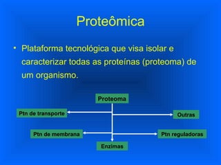 Proteômica Plataforma tecnológica que visa isolar e caracterizar todas as proteínas (proteoma) de um organismo. Proteoma Outras Ptn de transporte Ptn de membrana Ptn reguladoras Enzimas 