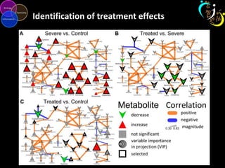Metabolomic data analysis and visualization tools | PPT