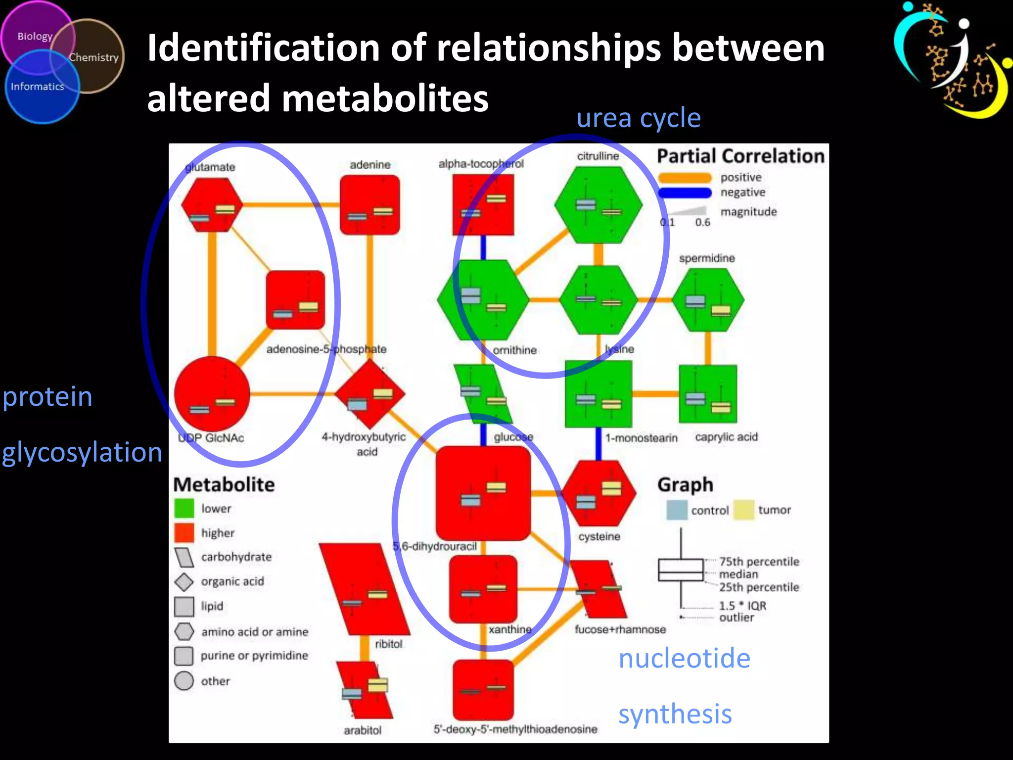Identification of relationships between
altered metabolites
urea cycle

protein
glycosylation

nucleotide
synthesis

 