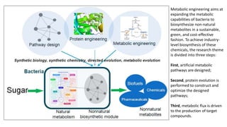 Metabolic engineering aims at
expanding the metabolic
capabilities of bacteria to
biosynthesize non-natural
metabolites in a sustainable,
green, and cost-effective
fashion. To achieve industry-
level biosynthesis of these
chemicals, the research theme
is divided into three steps:
First, artificial metabolic
pathways are designed;
Second, protein evolution is
performed to construct and
optimize the designed
pathways;
Third, metabolic flux is driven
to the production of target
compounds.
 