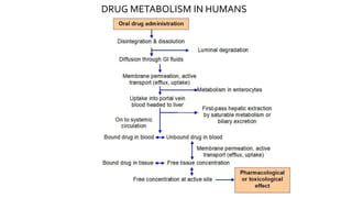 DRUG METABOLISM IN HUMANS
 