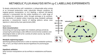 METABOLIC FLUX ANALYSIS WITH 13-C LABELLING EXPERIMENTS
To deeply understand the cells' metabolism is indispensable when aiming
at an increased productivity under industrially relevant conditions by
targeted genetic manipulation. In 13-C labelling, a defined 13C-labeled
substrate is incorporated into the carbon backbone of a wide range of
metabolites, the metabolome, either through exchange or by synthesis.
The distribution of labeled carbon traversing along metabolic pathways
generates a characteristic imprint of labeling patterns whose mass
signature is observed by mass spectrometry (MS).
Applications:
Strain characterization:
Generating and improving insights into metabolic pathway activity by
comparing flux phenotypes under different environmental conditions and
physiological states as well as for a variety of carbon sources. Eg. Strains
used in bioremediation
Metabolic engineering targets:
Identifying pathway bottlenecks in order to maximize metabolite synthesis.
This, in turn, can help to derive decisive hypotheses for promising gen
targets.
Hypothesis validation:
Gene function manipulations can be verified on metabolome and fluxome
level.
 