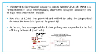 Metabolomics | PDF