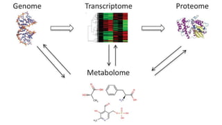 Metabolomics.pptx