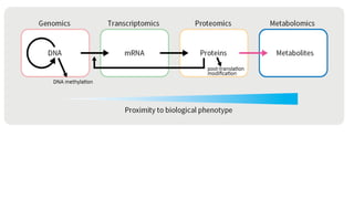 Metabolomics.pptx