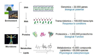 Metabolomics.pptx