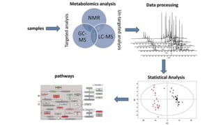 Metabolomics.pptx