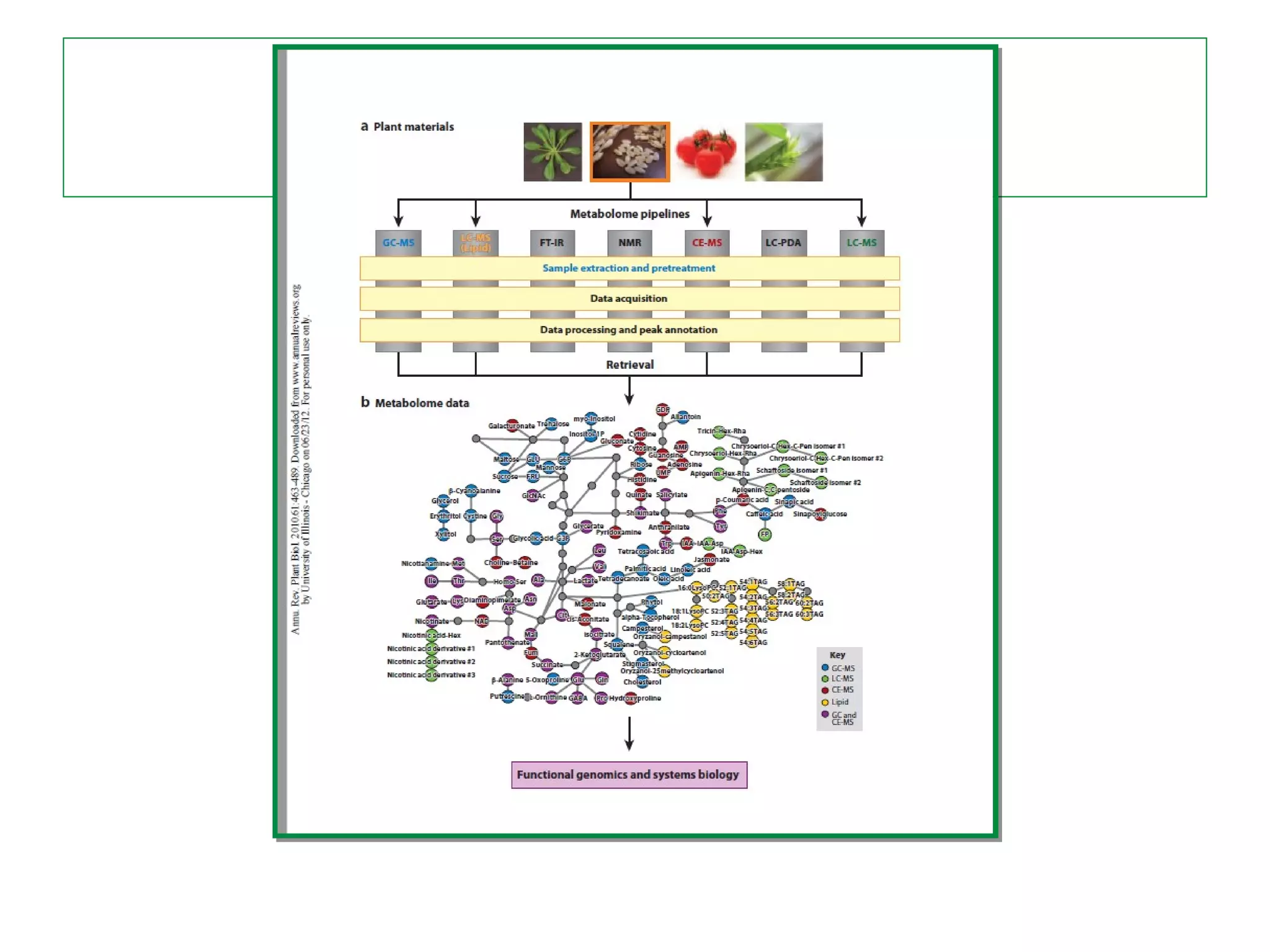 Metabolomics | POT