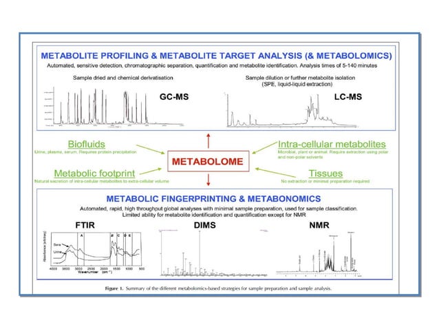 Metabolomics | POT | Chemistry | Science