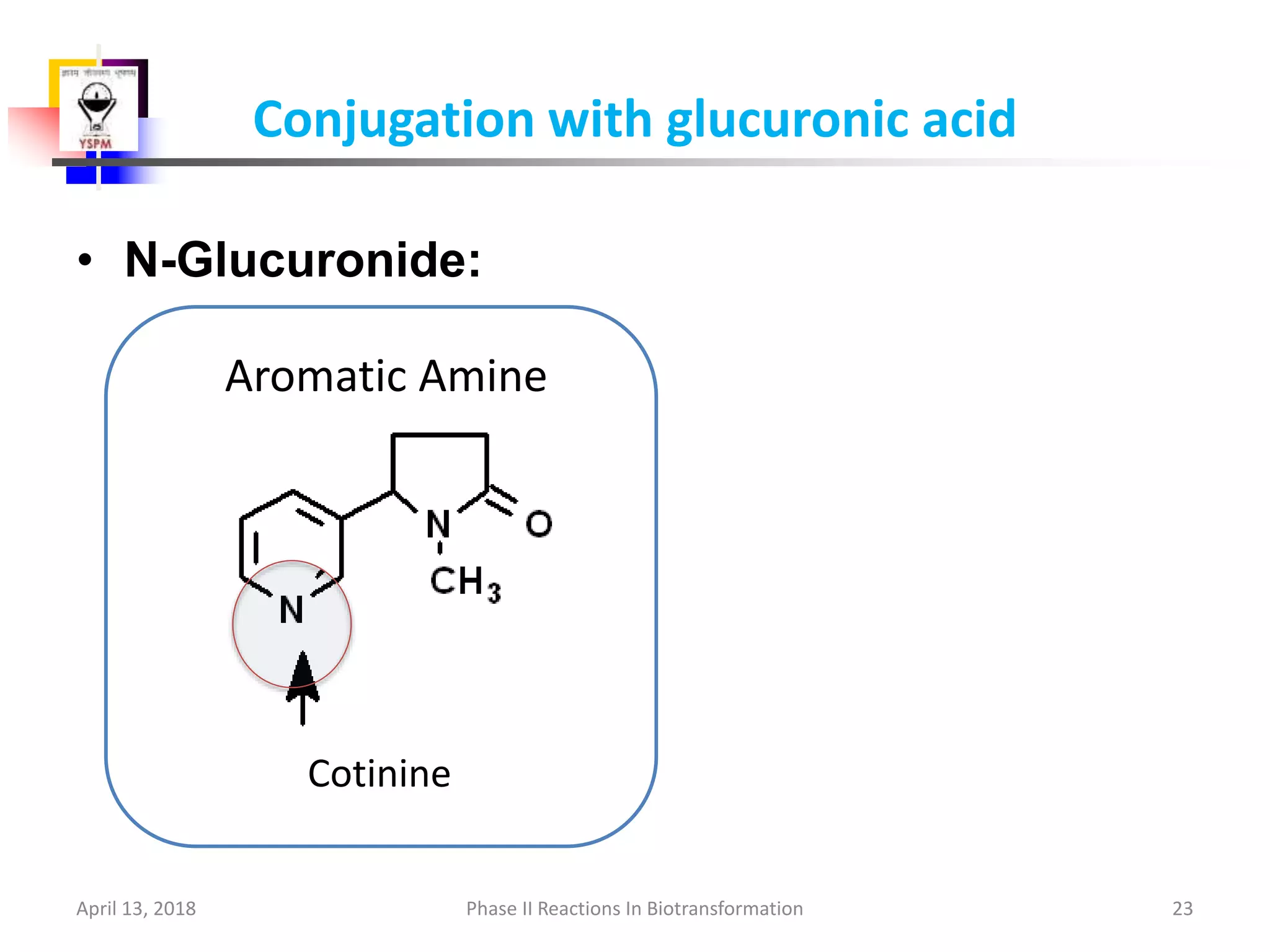 glutathione conjugation ppt Drug metabolism Phase II reaction Majeed(phase ii metabolism) | PPTX