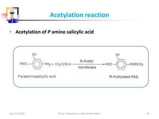 Metabolism II | PPTX