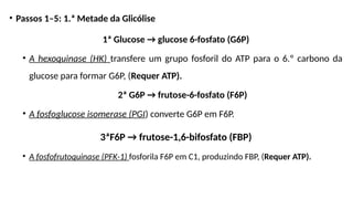 • Passos 1–5: 1.ª Metade da Glicólise
1ª Glucose → glucose 6-fosfato (G6P)
• A hexoquinase (HK) transfere um grupo fosforil do ATP para o 6.º carbono da
glucose para formar G6P, (Requer ATP).
2ª G6P → frutose-6-fosfato (F6P)
• A fosfoglucose isomerase (PGI) converte G6P em F6P.
3ªF6P → frutose-1,6-bifosfato (FBP)
• A fosfofrutoquinase (PFK-1) fosforila F6P em C1, produzindo FBP, (Requer ATP).
 