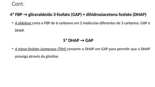 Cont.
4ª FBP → gliceraldeído 3-fosfato (GAP) + dihidroxiacetona fosfato (DHAP)
• A aldolase corta o FBP de 6 carbonos em 2 moléculas diferentes de 3 carbonos, GAP e
DHAP.
5ª DHAP → GAP
• A triose-fosfato isomerase (TIM) converte o DHAP em GAP para permitir que o DHAP
prossiga através da glicólise.
 