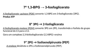 7ª 1,3-BPG → 3-fosfoglicerato
A fosfoglicerato- quinase (PGK) converte 1,3-BPG em 3-fosfoglicerato (3PG).
Produz ATP
8ª 3PG → 2-fosfoglicerato
A fosfoglicarato mutase (PGM) converte 3PG em 2PG, transferindo o fosfato do grupo
funcional do C3 para o C2.
Gera um complexo 2,3-bisfosfoglicerato (2,3-BPG)–enzima
9ª 2PG → fosfoenolpiruvato (PEP)
A enolase desidrata o 2PG a fosfenoenolpiruvato (PEP).
 