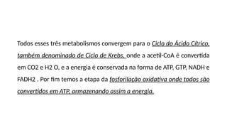 Todos esses três metabolismos convergem para o Ciclo do Ácido Cítrico,
também denominado de Ciclo de Krebs, onde a acetil-CoA é convertida
em CO2 e H2 O, e a energia é conservada na forma de ATP, GTP, NADH e
FADH2 . Por fim temos a etapa da fosforilação oxidativa onde todos são
convertidos em ATP, armazenando assim a energia.
 