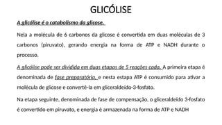GLICÓLISE
A glicólise é o catabolismo da glicose.
Nela a molécula de 6 carbonos da glicose é convertida em duas moléculas de 3
carbonos (piruvato), gerando energia na forma de ATP e NADH durante o
processo.
A glicólise pode ser dividida em duas etapas de 5 reações cada. A primeira etapa é
denominada de fase preparatória, e nesta estapa ATP é consumido para ativar a
molécula de glicose e convertê-la em gliceraldeído-3-fosfato.
Na etapa seguinte, denominada de fase de compensação, o gliceraldeído 3-fosfato
é convertido em piruvato, e energia é armazenada na forma de ATP e NADH
 