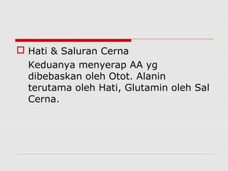  Hati & Saluran Cerna
Keduanya menyerap AA yg
dibebaskan oleh Otot. Alanin
terutama oleh Hati, Glutamin oleh Sal
Cerna.
 