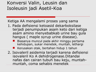Konversi Valin, Leusin dan
Isoleusin jadi Asetil-Koa
Ketiga AA mengalami proses yang sama
1. Pada defisiensi ketoasid dekarboksilase
terjadi penumpukan asam keto dari ketiga
asam amino menyebabkab urine bau gula
hangus ( maple syrup urine disease).
 Biasanya muncul pada akhir minggu pertama
kehidupan, sukar menetek, muntah, lethargi
 Kerusakan otak, bertahan hidup 1 tahun
2. Isovaleril asidemia terjadi karena defisiensi
isovaleril Ko A dehidrogenase.Ditandai
nafas dan cairan tubuh bau keju, muntah-
muntah, coma sehabis menetek
 