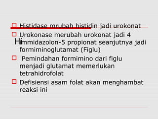  Histidase mrubah histidin jadi urokonat
 Urokonase merubah urokonat jadi 4
immidazolon-5 propionat seanjutnya jadi
formiminoglutamat (Figlu)
 Pemindahan formimino dari figlu
menjadi glutamat memerlukan
tetrahidrofolat
 Defisiensi asam folat akan menghambat
reaksi ini
Hi
 