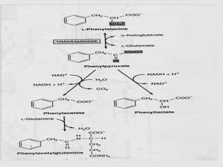 Perubahan fenilalanin menjadai
penilpiruvat
 