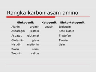 Rangka karbon asam amino
Glukogenik Ketogenik Gluko-ketogenik
Alanin arginin Leusin Isoleusin
Asparagin sistein Fenil alanin
Aspatat glutamat Triptofan
Glutamin glisin Tirosin
Histidin metionin Lisin
Prolin serin
Treonin valiun
 
