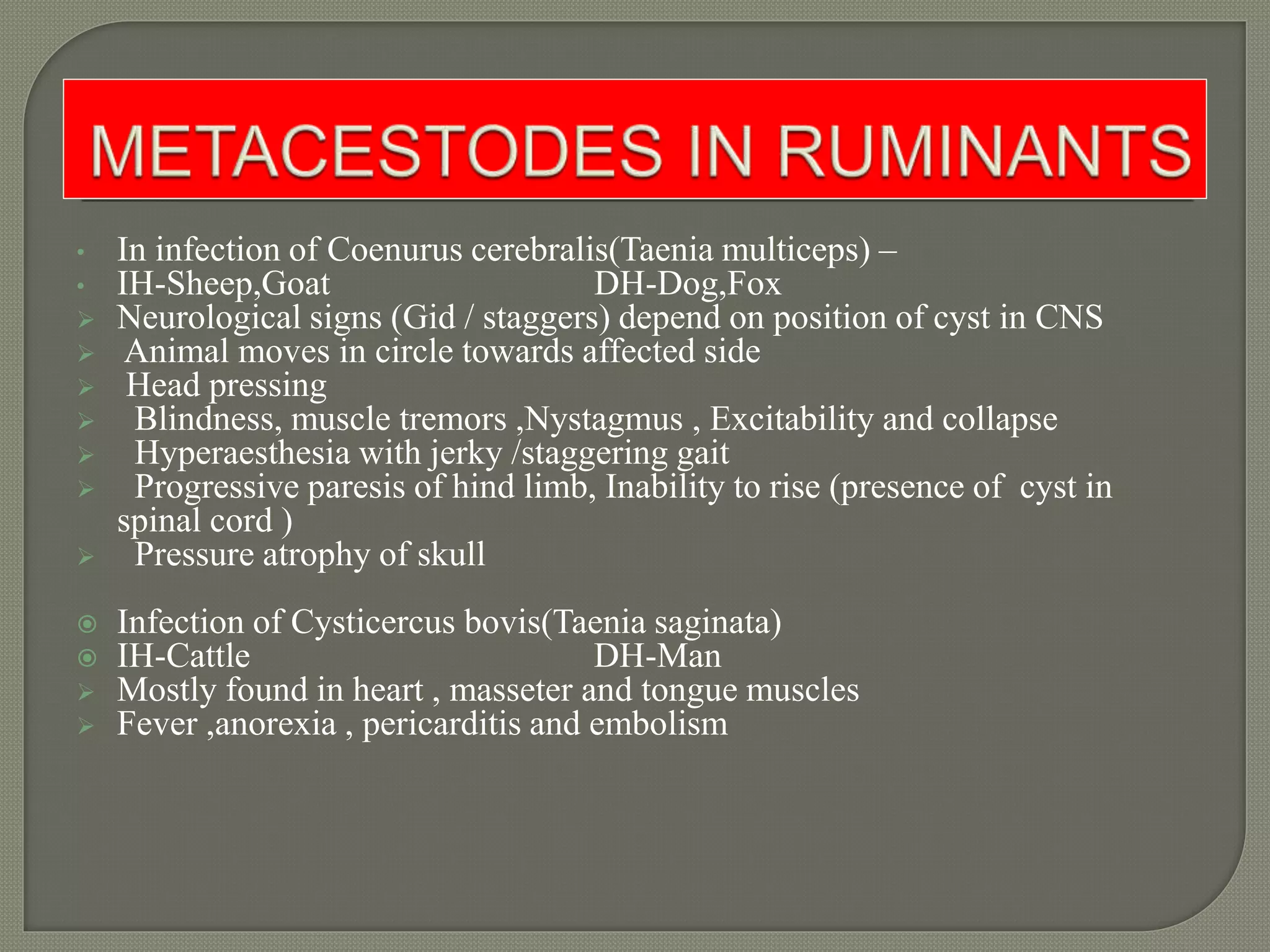 Metacestodal infection | PPTX | Dogs | Pets