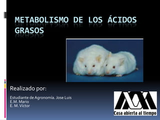 METABOLISMO DE LOS ÁCIDOS
  GRASOS




Realizado por:
Estudiante de Agronomía. Jose Luis
E.M. Mario
E. M. Víctor
 