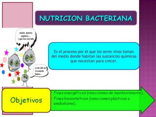 NUTRICION BACTERIANA



   Es el proceso por el que los seres vivos toman
  del medio donde habitan las sustancias químicas
             que necesitan para crecer.
 