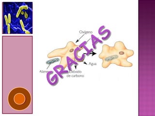 Metabolismo y nutricion