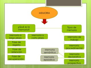 MEMORIA




       ¿Qué es la                         Tipos de
       memoria?                           memoria

Memoria a           Memoria a
largo plazo         corto plazo            Memoria de
                                            trabajo
  Fase de
  registro                                   Memoria
   Fase de                                procedimental
                               Memoria
  retención                   semántica
                                            Memoria
   Fase de                    Memoria      declarativa
recuperación                  episódica     Memoria
                                           prospectiva
 
