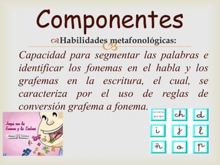 Componentes
      Habilidades metafonológicas:
                 
Capacidad para segmentar las palabras e
identificar los fonemas en el habla y los
grafemas en la escritura, el cual, se
caracteriza por el uso de reglas de
conversión grafema a fonema.
 