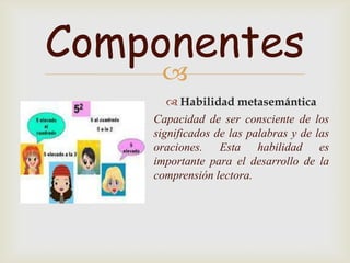 Componentes
     
        Habilidad metasemántica
    Capacidad de ser consciente de los
    significados de las palabras y de las
    oraciones. Esta habilidad es
    importante para el desarrollo de la
    comprensión lectora.
 