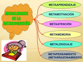 METAAPRENDIZAJE


METAMOTIVACIÓN


METAATENCIÓN


METAMEMORIA


METALENGUAJE


METAPENSAMIENTO
(METARRAZONAMIENTO)
 