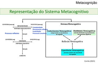 Corrêa (2021)
Processo reflexivo
Complexidade
Pensamento reflexivo
Insatisfação
Processos conativos
Representação do Sistema Metacognitivo
Metacognição
 