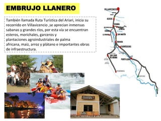 EMBRUJO LLANERO
También llamada Ruta Turística del Ariari, inicia su
recorrido en Villavicencio ,se aprecian inmensas
sabanas y grandes ríos, por esta vía se encuentran
esteros, morichales, garceros y
plantaciones agroindustriales de palma
africana, maíz, arroz y plátano e importantes obras
de infraestructura.
 