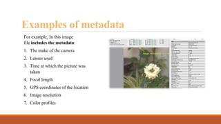 metadata And Its Types presentation.pptx