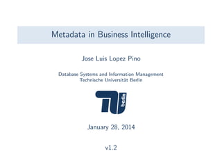 Metadata in Business Intelligence
Jose Luis Lopez Pino
Database Systems and Information Management
Technische Universit¨t Berlin
a

January 28, 2014
v1.2

 