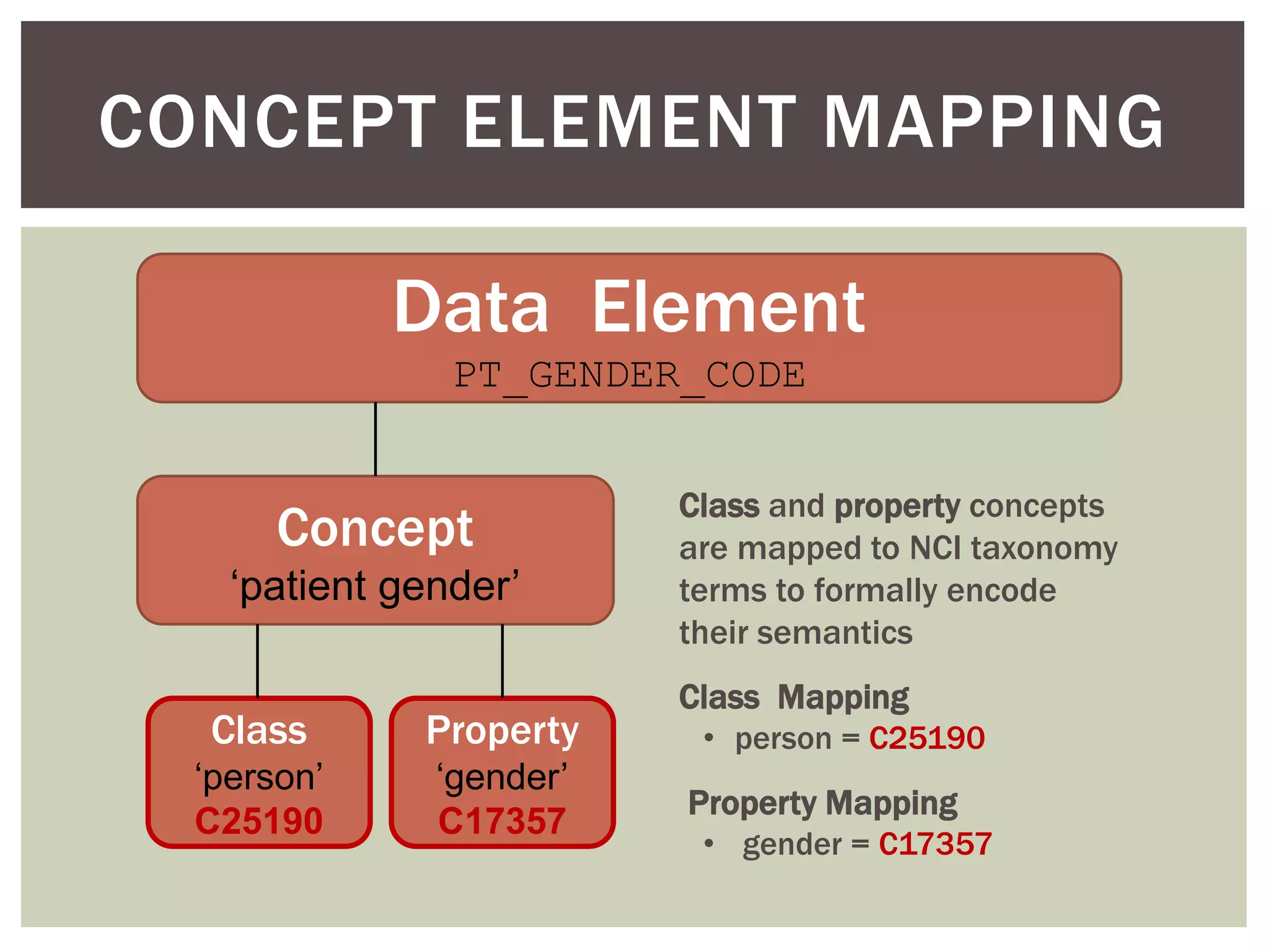 Data Element
PT_GENDER_CODE
Concept
‘patient gender’
Class
‘person’
C25190
Property
‘gender’
C17357
Class and property concepts
are mapped to NCI taxonomy
terms to formally encode
their semantics
Class Mapping
• person = C25190
Property Mapping
• gender = C17357
CONCEPT ELEMENT MAPPING
 