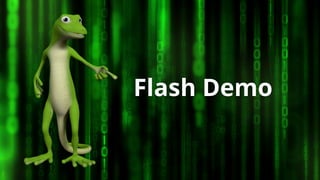 Flash Demo
 