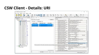 CSW Client - Details: URI
 