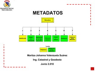 Maritza Johanna Valenzuela Suárez Ing. Catastral y Geodesta Junio 2.010 METADATOS   