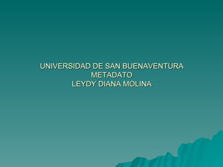 UNIVERSIDAD DE SAN BUENAVENTURA METADATO LEYDY DIANA MOLINA 