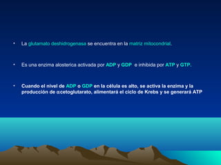 • La glutamato deshidrogenasa se encuentra en la matriz mitocondrial.
• Es una enzima alosterica activada por ADP y GDP e inhibida por ATP y GTP.
• Cuando el nivel de ADP o GDP en la célula es alto, se activa la enzima y la
producción de αcetoglutarato, alimentará el ciclo de Krebs y se generará ATP
 