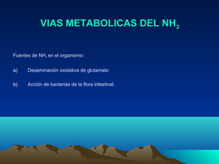 VIAS METABOLICAS DEL NHVIAS METABOLICAS DEL NH33
Fuentes de NH3 en el organismo:
a) Desaminación oxidativa de glutamato
b) Acción de bacterias de la flora intestinal
 