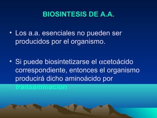 BIOSINTESIS DE A.A.BIOSINTESIS DE A.A.
• Los a.a. esenciales no pueden ser
producidos por el organismo.
• Si puede biosintetizarse el αcetoácido
correspondiente, entonces el organismo
producirá dicho aminoácido por
transaminación
 