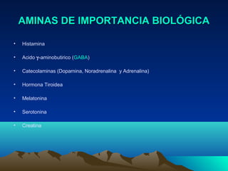 AMINAS DE IMPORTANCIA BIOLÓGICAAMINAS DE IMPORTANCIA BIOLÓGICA
• Histamina
• Acido γ-aminobutirico (GABA)
• Catecolaminas (Dopamina, Noradrenalina y Adrenalina)
• Hormona Tiroidea
• Melatonina
• Serotonina
• Creatina
 