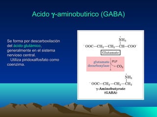 AcidoAcido γγ-aminobutirico (GABA)-aminobutirico (GABA)
Se forma por descarboxilaciónSe forma por descarboxilación
deldel ácido glutámicoácido glutámico,,
generalmente en el sistemageneralmente en el sistema
nervioso central.nervioso central.
Utiliza piridoxalfosfato comoUtiliza piridoxalfosfato como
coenzima.coenzima.
 