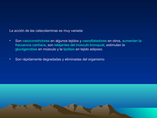 La acción de las catecolaminas es muy variada:
• Son vasoconstrictores en algunos tejidos y vasodilatadores en otros, aumentan la
frecuencia cardíaca, son relajantes del músculo bronquial, estimulan la
glucógenolisis en músculo y la lipólisis en tejido adiposo.
• Son rápidamente degradadas y eliminadas del organismo
 